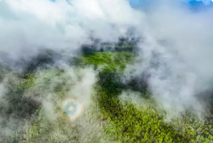 山東同余堂人參科技有限公司